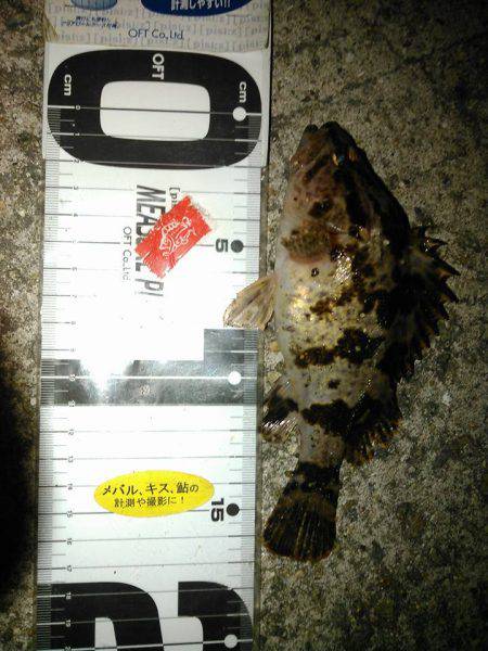 電話しなが釣りの巻